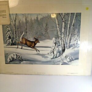 Whitetail Deer Maynard Reece New Snow Signed Limited Print 169 of 950 22x29